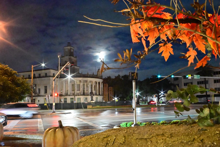 The clock tower framed by autumn-colored leaves